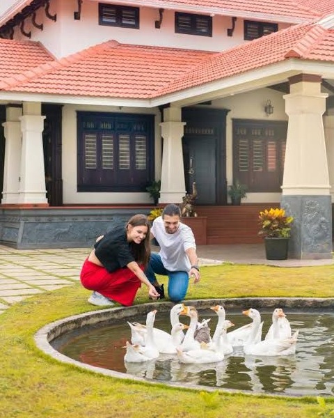 Resort nadavayal wayanade , Mace Mansion
