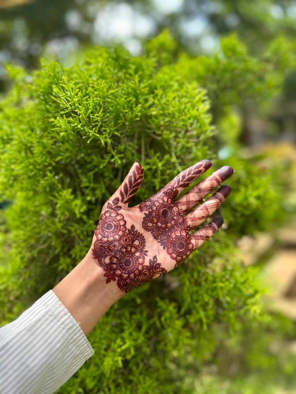  Henna Studio Nadapuram ,Vadakara : The Fidhahenna