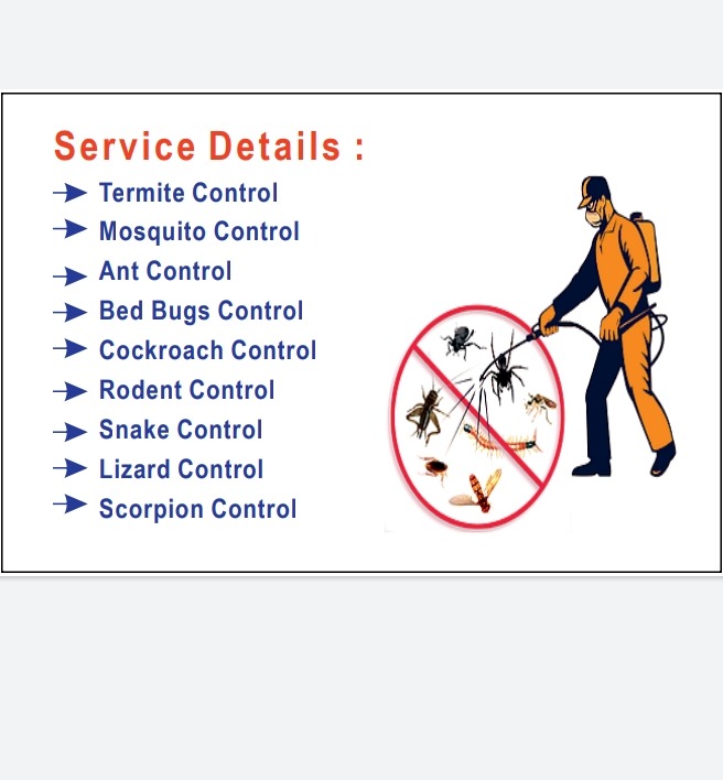 Pest Control Work in Porur Chennai : Yazljo Pest Control Service