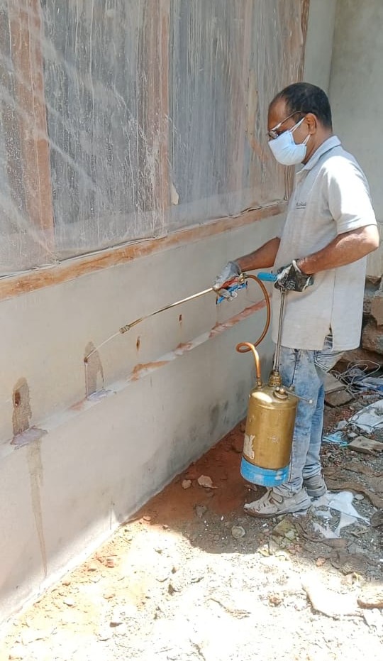 Pest control Termite work (ചിതൾ) Vatakara in thalassery : Yazljo