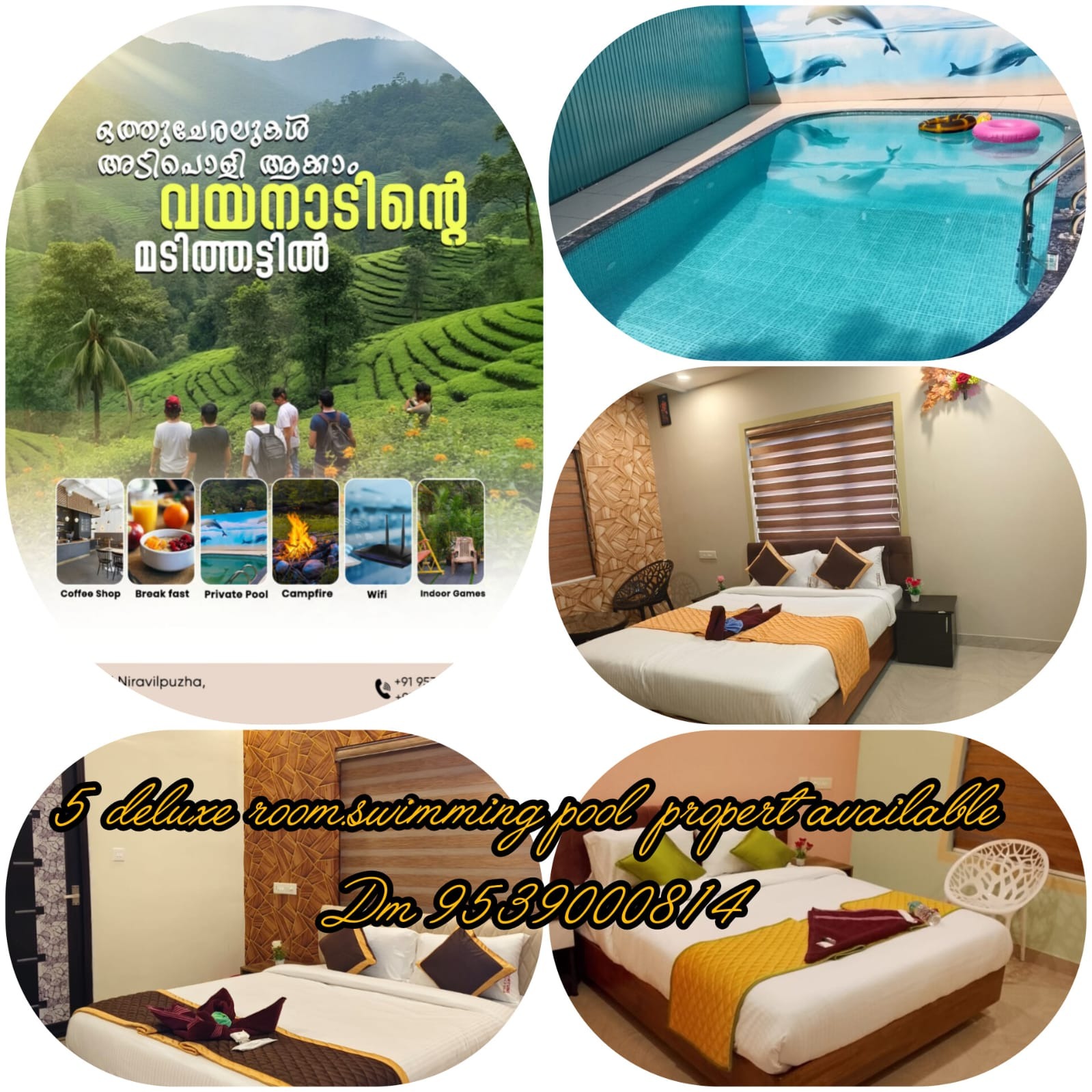 Resort,  Apartment, Home Stay  Niravilpuzha, Wayanad : Fortune Villa
