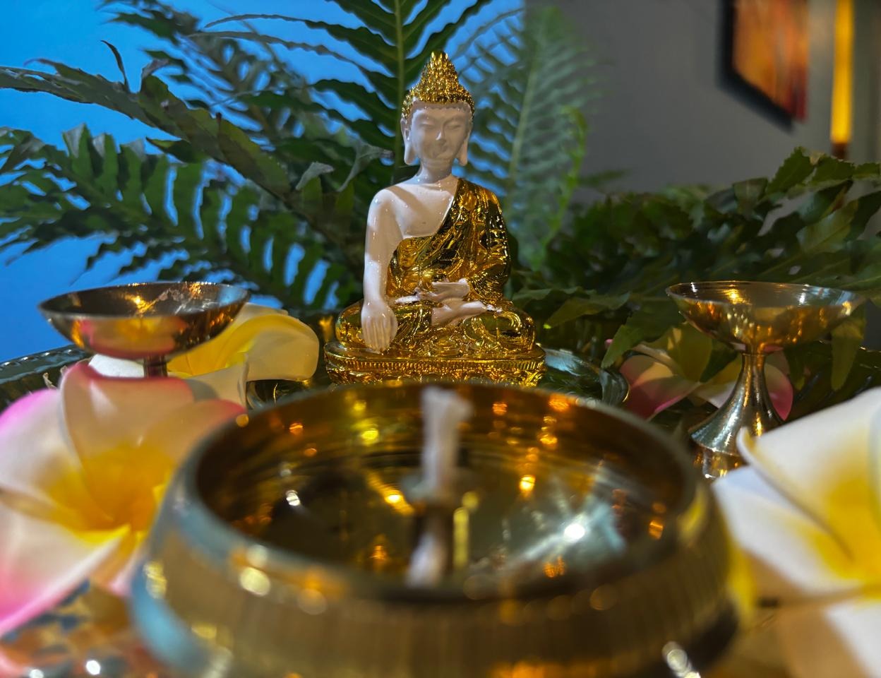 Massage centre, spa Vadakara, Hiko serenity wellness centre  