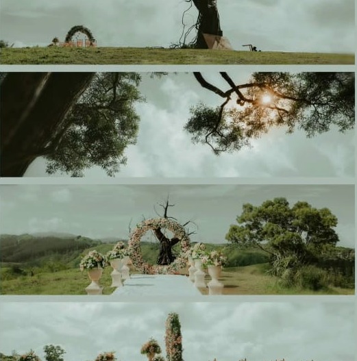 Event Management Changanassery, Event Management Kochi, Dream Makers Event Production