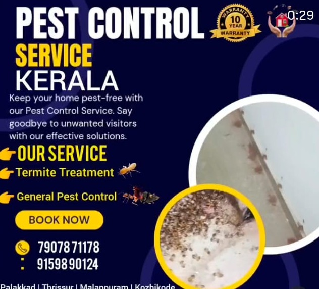 Pest Control Kannur,General Pest Control Kannur,Termite Treatment Kannur,Chithal Treatment Kannur,Kerala Termite Service 
