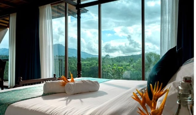  Farm Resort Kalpetta Wayanad,Resort Kalpetta Wayanad,Stay Kalpetta Wayanad,Kings Flora Luxury Farm Resort 