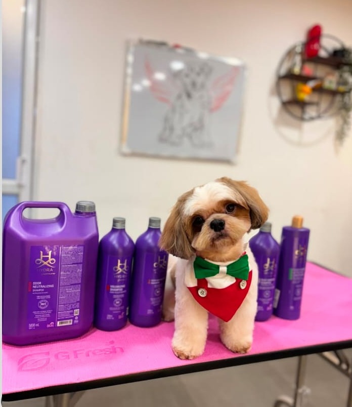 Pet Grooming Studio Thrissur,Pet Grooming Service Thrissur, For Our Pets  