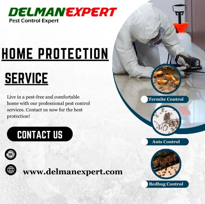 Pest Control Services Gandhinagar Coimbatore,DelmanExpert 