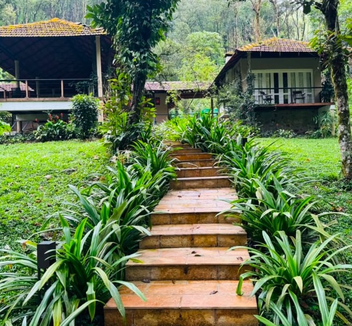 Resort Meppadi Wayanad, Forest Resort Meppadi Wayanad,Lanternstay Resort