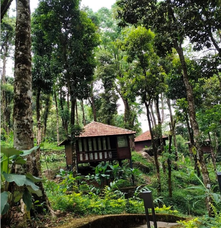 Resort Meppadi Wayanad, Forest Resort Meppadi Wayanad,Lanternstay Resort