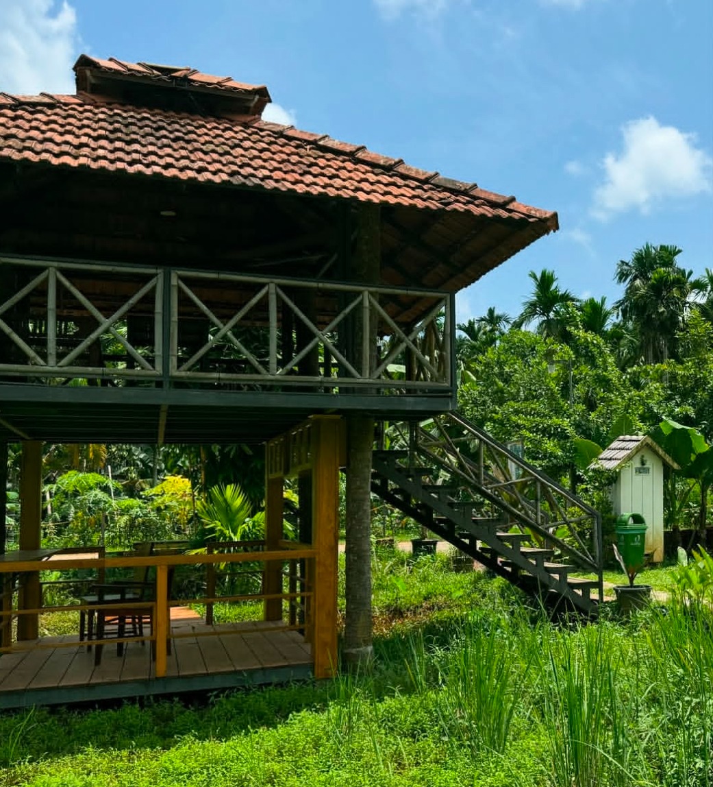 Farm Stay Puthur Omassery, Farmhouse Puthur Omassery,Royad Farmhouse 