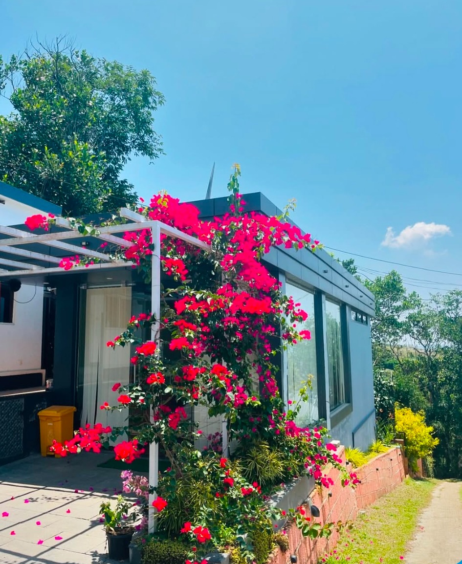 Cottage Ramakkalmedu,Stay in Ramakkalmedu,Peakaavu Cottage 