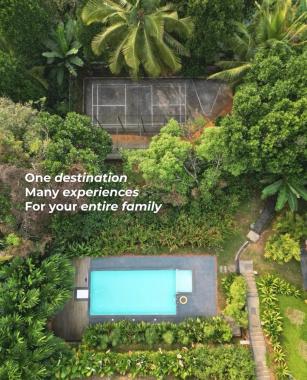 Resort in Thekkumthara Wayanad, Private pool resort Thekkumthara Wayanad , Family resort Thekkumthara Wayanad, Aalterra Resort 