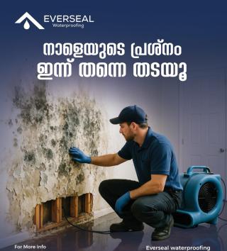 Waterproofing work nadapuram kuttiyadi vadakara, Everseal waterproofing vadakara kuttiyadi Nadapuram 