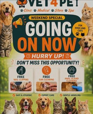 ​Pet clinic in Nandanam Chennai, Pet grooming services in Nandanam Chennai,  Pet boarding  Nandanam Chennai, Pet diagnostic lab Chennai, Vet4Pet  