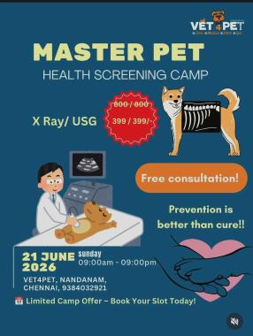​Pet clinic in Nandanam Chennai, Pet grooming services in Nandanam Chennai,  Pet boarding  Nandanam Chennai, Pet diagnostic lab Chennai, Vet4Pet  