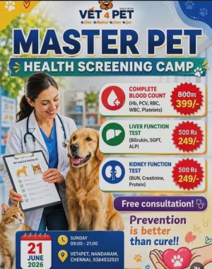 ​Pet clinic in Nandanam Chennai, Pet grooming services in Nandanam Chennai,  Pet boarding  Nandanam Chennai, Pet diagnostic lab Chennai, Vet4Pet  