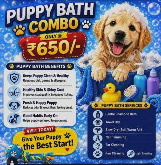 Veterinary Clinic Arakkonam,  Pet Grooming Center Arakkonam,  Online Pet Consultation Arakkonam, ​Alpha Animal Hospital 