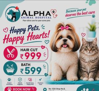 Veterinary Clinic Arakkonam,  Pet Grooming Center Arakkonam,  Online Pet Consultation Arakkonam, ​Alpha Animal Hospital 