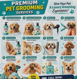 Veterinary Clinic Arakkonam,  Pet Grooming Center Arakkonam,  Online Pet Consultation Arakkonam, ​Alpha Animal Hospital 