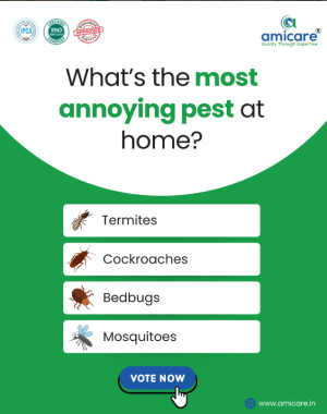 Pest control solutions vyttila Kochi,Pre construction treatment Vyttila Kochi,Amicare services Vyttila Kochi