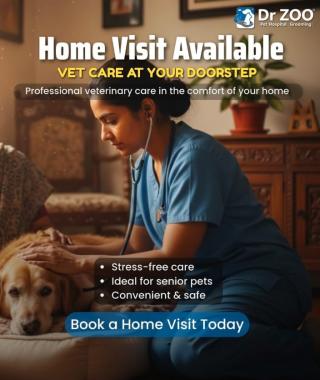 Pet Hospital in vyttila kochi,Pet Grooming in vyttila kochi, veterinary care in vyttila kochi, pet wellness services in vyttila kochi,Dr Zoo Pet Hospital  Grooming 