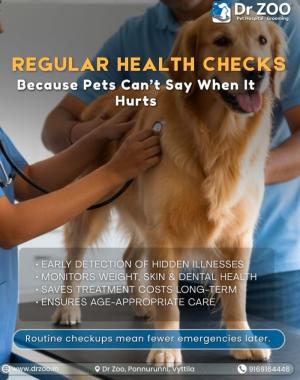 Pet Hospital in vyttila kochi,Pet Grooming in vyttila kochi, veterinary care in vyttila kochi, pet wellness services in vyttila kochi,Dr Zoo Pet Hospital  Grooming 