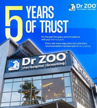 Pet Hospital in vyttila kochi,Pet Grooming in vyttila kochi, veterinary care in vyttila kochi, pet wellness services in vyttila kochi,Dr Zoo Pet Hospital  Grooming 