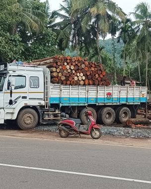 Weigh bridge in kakkattil,Degital weigh bridge in kakkattil,woods weigh bridge in kakkattil, Madathil woods weigh bridge kakkattil 