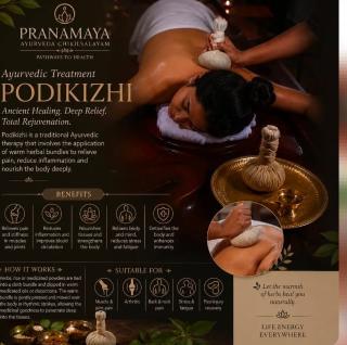 Ayurveda hospital in kumily thekkady,Yoga Wellness centre in kumily thekkady, Pranamaya Ayurveda Chikilsalayam 