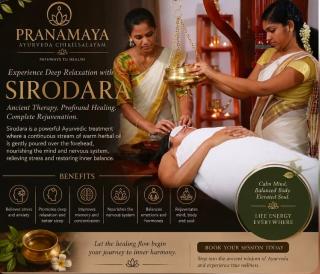 Ayurveda hospital in kumily thekkady,Yoga Wellness centre in kumily thekkady, Pranamaya Ayurveda Chikilsalayam 