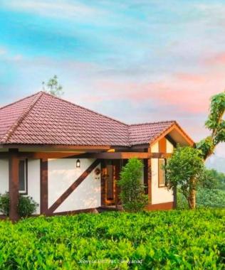 Ayurveda resort in wayanad,Hotel Resort in wayanad,Ayurveda wellness retreat in wayanad,Wellness Stay in wayanad,Jeevess Retreat 