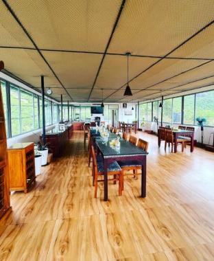 Hotel resort in munnar,Stay in munnar,Seven Malai Residency 