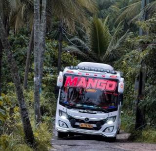 Tourist bus service in calicut,Tourist bus booking in calicut,Tour operator in calicut,Mango Holidays 