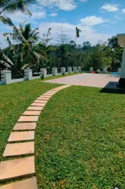 Landscaping work kanjirappally parathode mundakayam, garden work kanjirappally parathode mundakayam, stone henge landscaping and agricultural nursery kanjirappally parathode mundakayam 