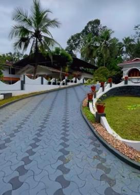 Interlock work in kanjirappally parathode mundakayam, Bangalore stone work kanjirappally parathode mundakayam,Stone henge landscaping work and agricultural nursery in kanjirappally parathode mundakayam 