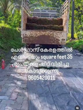 Interlock work in kanjirappally parathode mundakayam, Bangalore stone work kanjirappally parathode mundakayam,Stone henge landscaping work and agricultural nursery in kanjirappally parathode mundakayam 