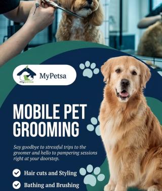 Doorstep pet grooming service in kochi, Mobile pet grooming service in kochi, Premium pet grooming service in kochi, My petsa pet grooming kochi ernakulam 