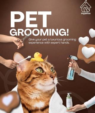 Doorstep pet grooming service in kochi, Mobile pet grooming service in kochi, Premium pet grooming service in kochi, My petsa pet grooming kochi ernakulam 