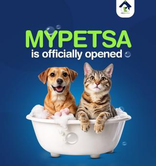 Doorstep pet grooming service in kochi, Mobile pet grooming service in kochi, Premium pet grooming service in kochi, My petsa pet grooming kochi ernakulam 