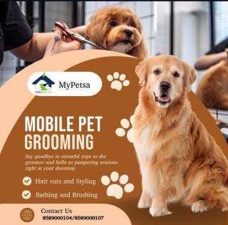 Doorstep pet grooming service in kochi, Mobile pet grooming service in kochi, Premium pet grooming service in kochi, My petsa pet grooming kochi ernakulam 