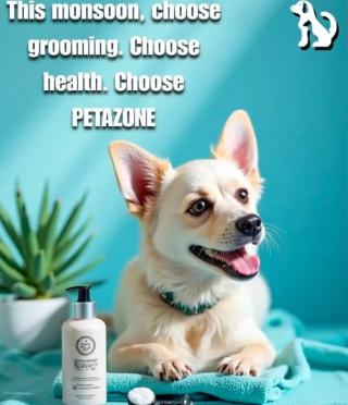 Pet grooming centre in calicut malappuram kottayam,Pet food and accessories in  calicut malappuram kottayam,Pet boarding Pet training in  calicut malappuram kottayam,PETZONE  