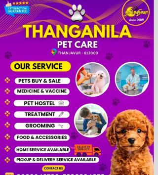 Pet service in thanjavur,Pet store in thanjavur,Pet Food Pet Medicine Pet Accessories in thanjavur,Pet Grooming Pet Training in  thanjavur,Thanganila Pet Care  
