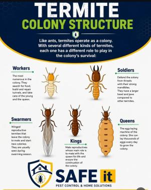 Pest control,Termite Pest control service in thrissur, termite control service in ernakulam, termite control service in palakkad, termite control service in malappuram, Safe it termite pest control in karayamuttam thrissur