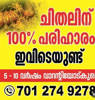Pest control,Termite Pest control service in thrissur, termite control service in ernakulam, termite control service in palakkad, termite control service in malappuram, Safe it termite pest control in karayamuttam thrissur