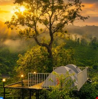 Resort in meppadi wayanad,Stay in meppadi wayanad,Hill pods Mud houses in meppadi wayanad,BOCHE 1000 Acre Wayanad 
