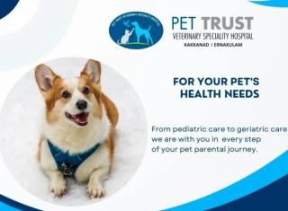Veterinary Specialty Hospital in kakkanad kochi,Veterinarian in kakkanad kochi,Pet grooming Pharmacy Pet food Accessories in kakkanad kochi,Pet Trust Hospital  