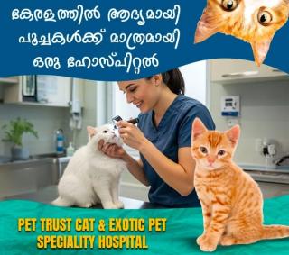 Veterinary Specialty Hospital in kakkanad kochi,Veterinarian in kakkanad kochi,Pet grooming Pharmacy Pet food Accessories in kakkanad kochi,Pet Trust Hospital  