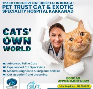Veterinary Specialty Hospital in kakkanad kochi,Veterinarian in kakkanad kochi,Pet grooming Pharmacy Pet food Accessories in kakkanad kochi,Pet Trust Hospital  