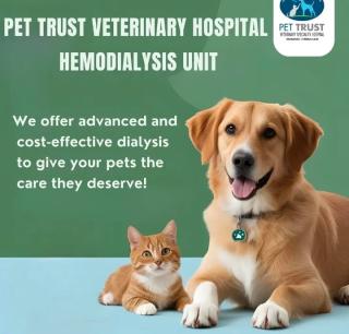 Veterinary Specialty Hospital in kakkanad kochi,Veterinarian in kakkanad kochi,Pet grooming Pharmacy Pet food Accessories in kakkanad kochi,Pet Trust Hospital  