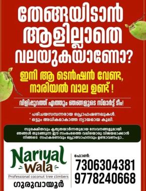 Coconut tree climbing services in Guruvayoor,തെങ്ങുകയറ്റ തൊഴിലാളി ഗുരുവായൂർ,Coconut tree climber in Guruvayoor, Nariyal Wala  Guruvayoor